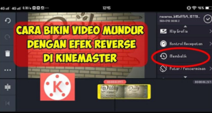 Membuat Video Reverse di KineMaster