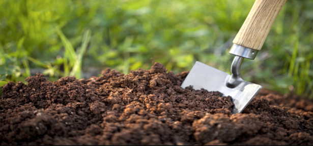 Cara Mengawetkan Tanah dengan Menggunakan Metode Vegetatif